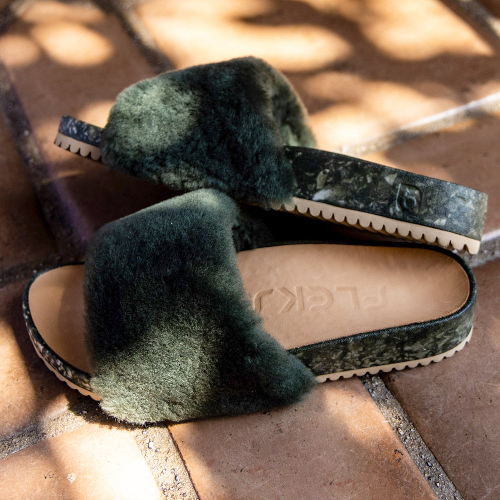 San Ysidro Slide - Forest