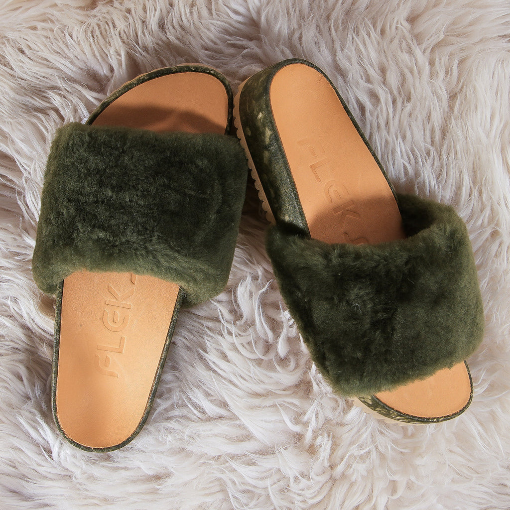 San Ysidro Slide - Forest