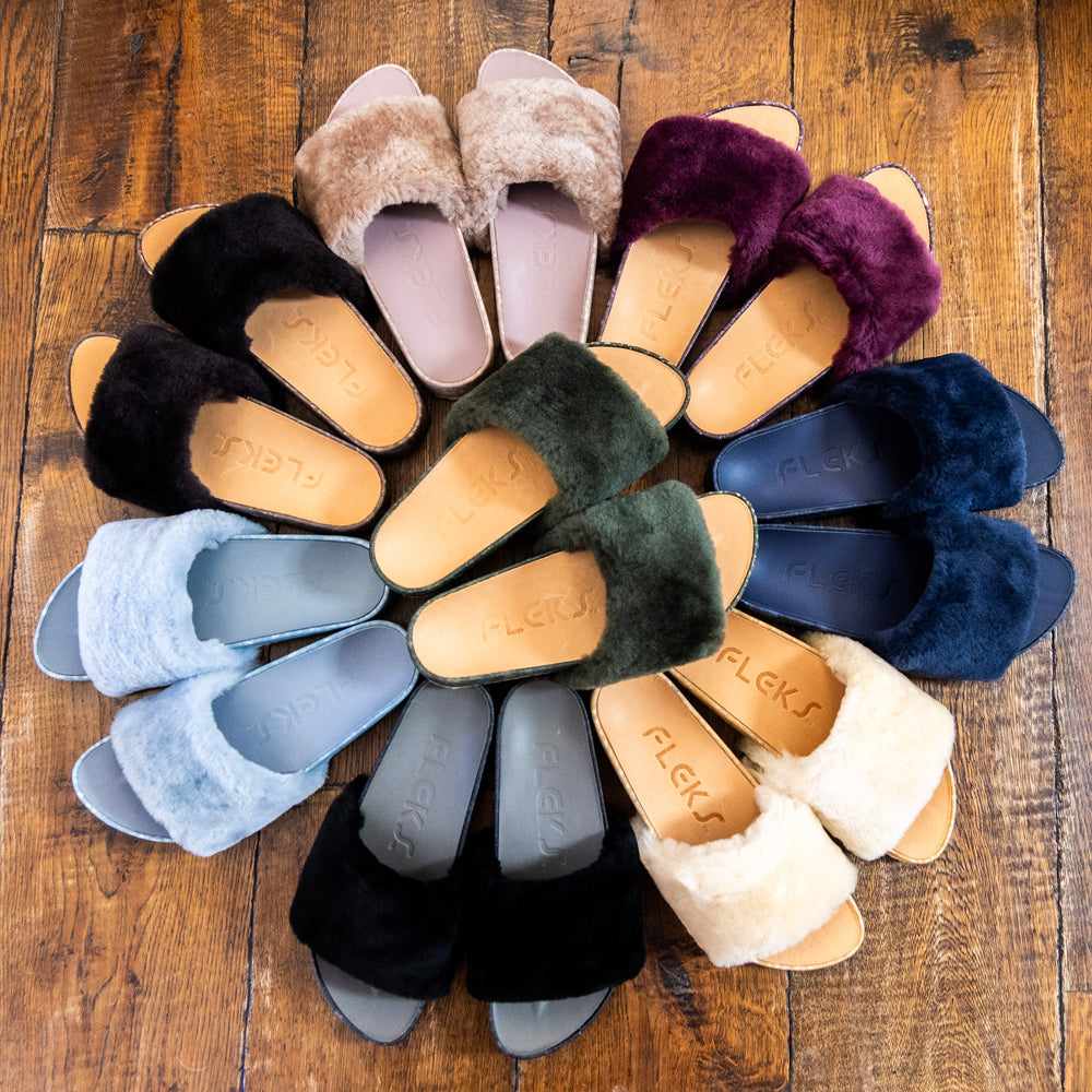 San Ysidro Slide - Forest